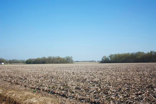 Property photo 15 - 641 Acres Offered in 16 Tracts - 545 Cropland Acres